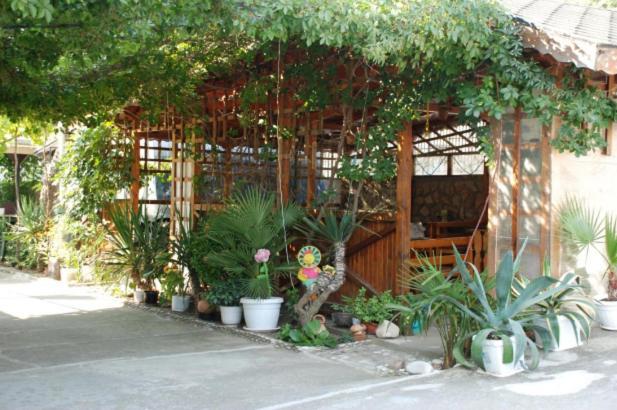 Guest House Rusalka Bjala Kültér fotó
